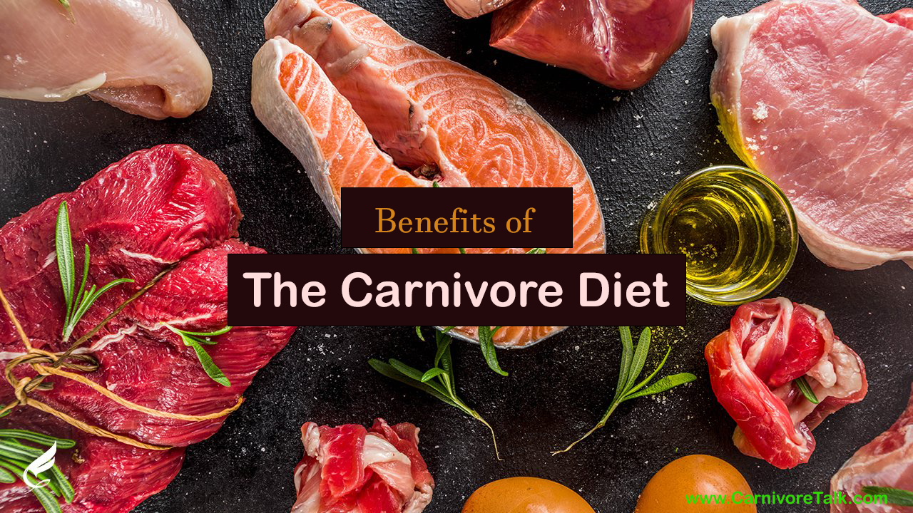 The Many Benefits Of A Carnivore Diet - Carnivore Diet Resources ...