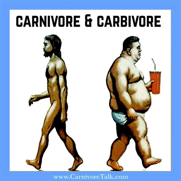 Carnivore VS Carbivore