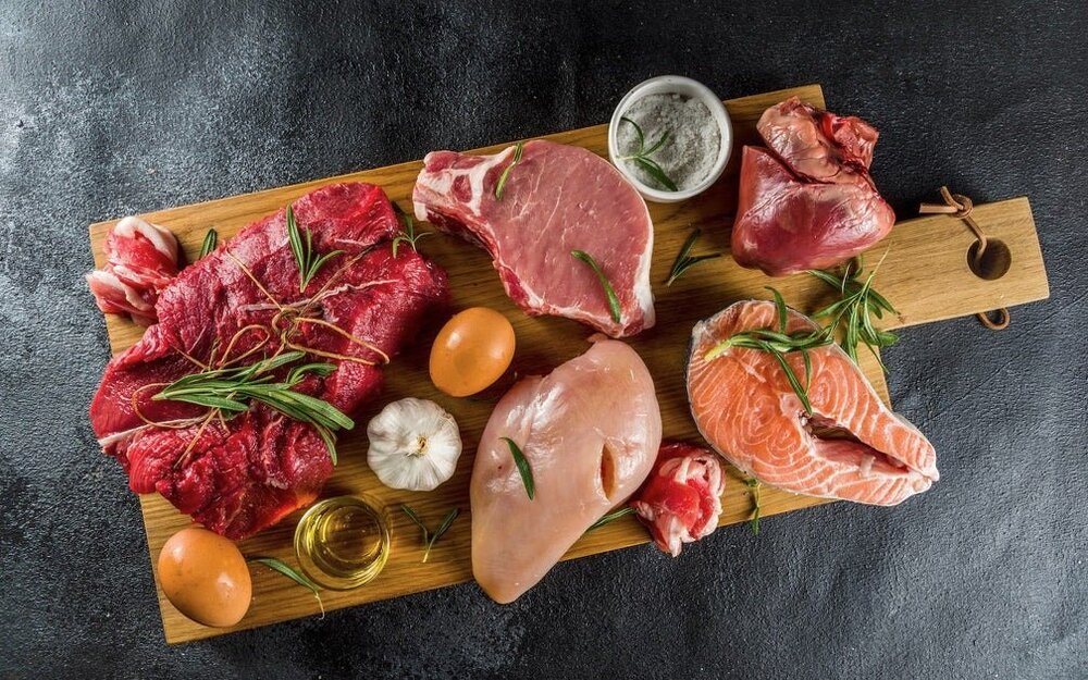 carnivoreFoods.jpg