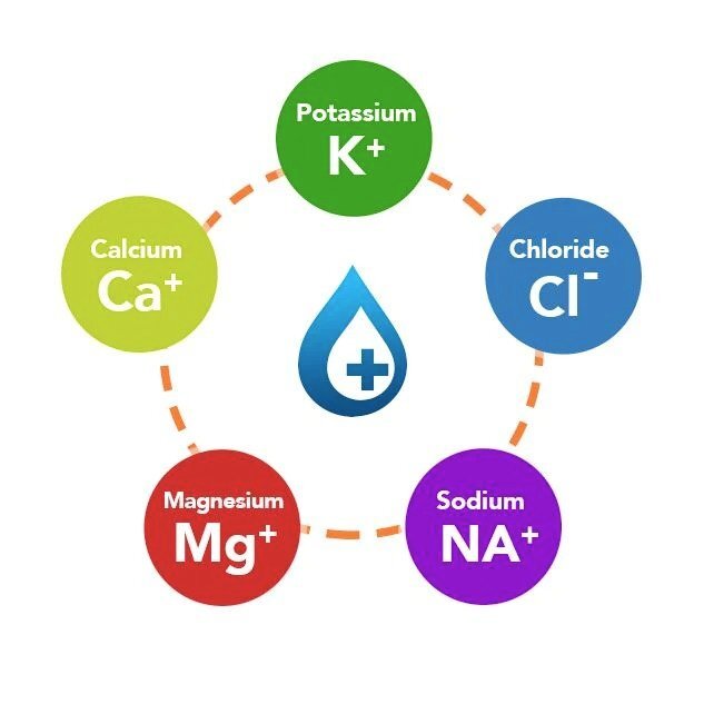 electrolytes.jpg