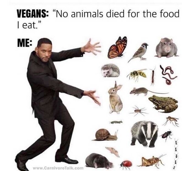 "No animals died for the food I eat."