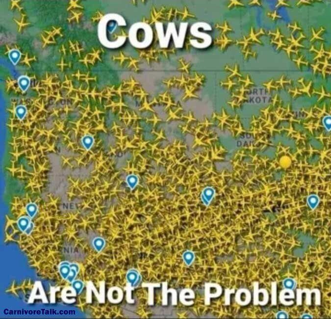 Cows are not the problem