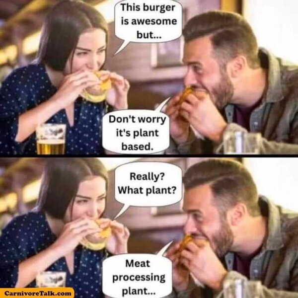 The best plant based meat